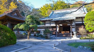 Khám phá ngôi đền Hokokuji linh thiêng của Kamakura, Nhật Bản